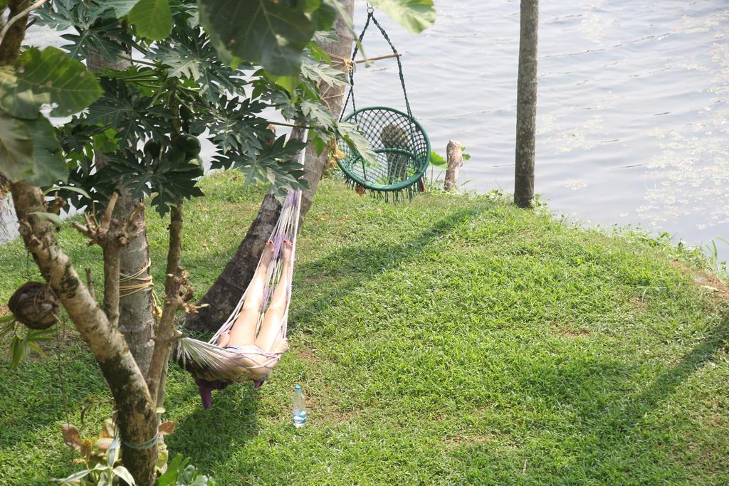 Bed and Breakfast Pearl Spot à Nedumbassery Extérieur photo